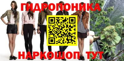 стафф Кулебаки