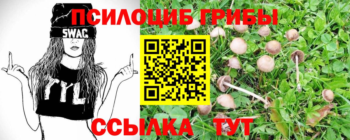 Псилоцибиновые грибы Magic Shrooms  Вход с VPN  Псилоцибиновые грибы ЛСД  Дмитров 