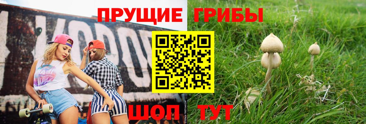 Галлюциногенные грибы Cubensis Дмитров
